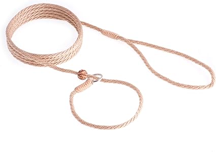 nylon slip leads for dogs