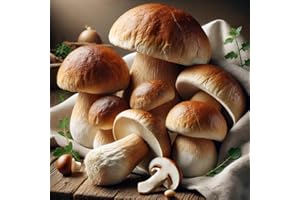 LUSORA VALE Porcini Mushroom Spores – Boletus Edulis | Gourmet Wild Mushroom | Highly Prized for Rich, Earthy Flavor