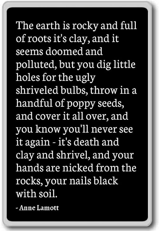 La Tierra es Rocky y lleno de raíces de la arcilla,... - Anne ...