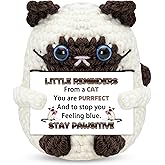 Zetckzilv Birthday Gift for Women Men Friends Coworkers Cute Positive Handmade Crochet Cat Emotional Motivational Support Christmas Valentine Back to School Gift