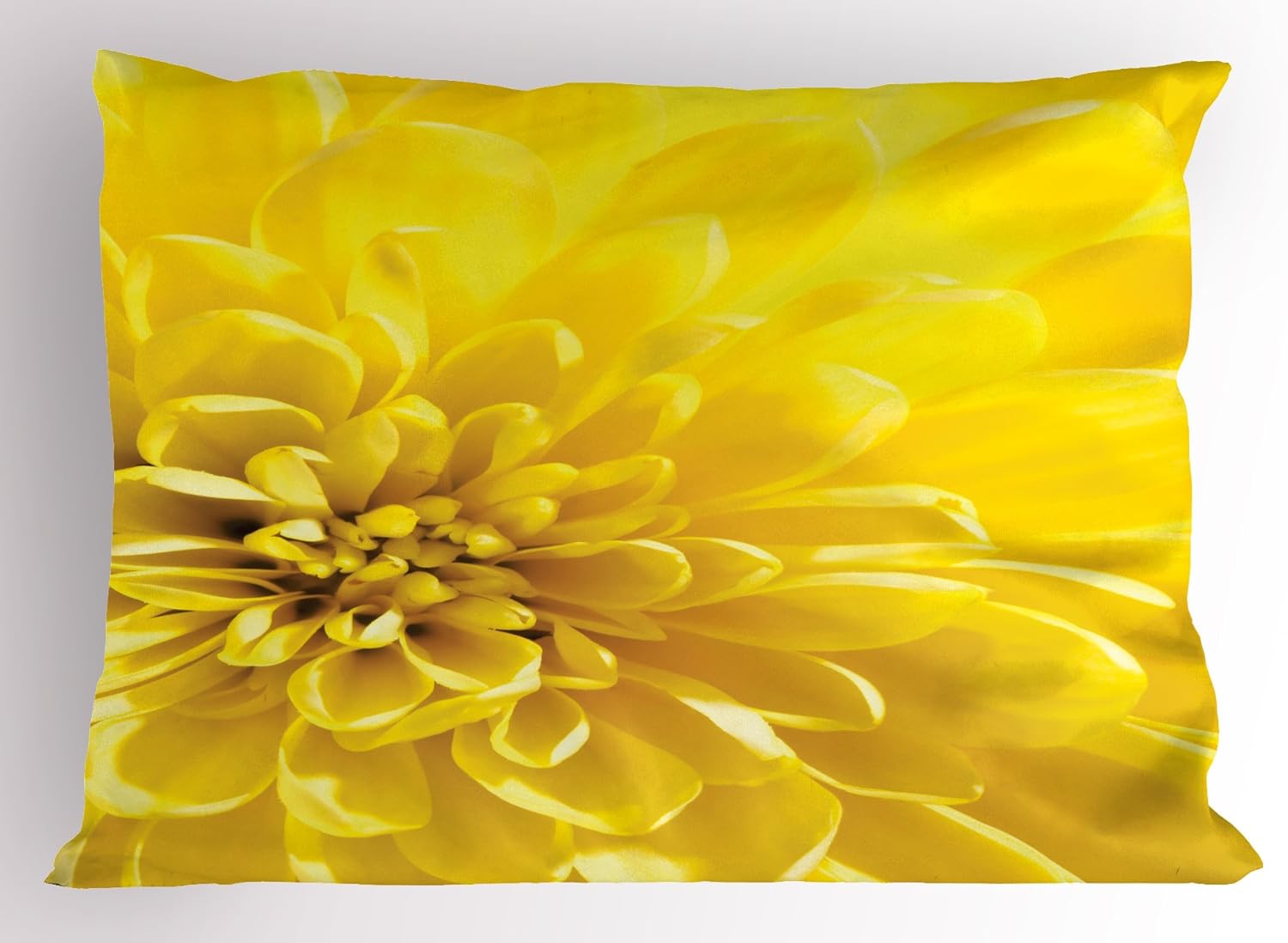 Lunarable Yellow Pillow Sham, Vibrant Blooming Flower Close up Bridal Botanical