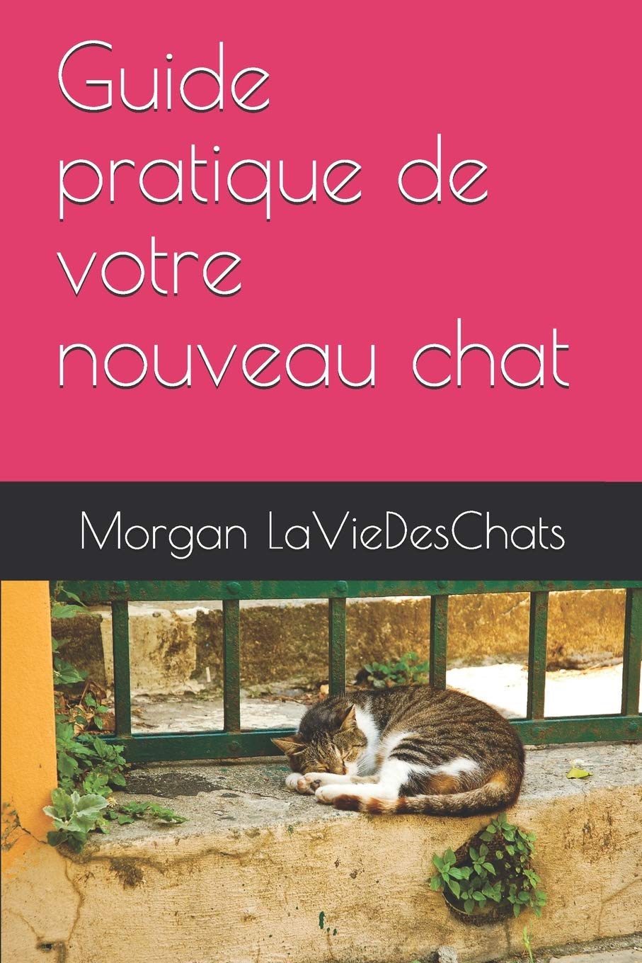 Buy Guide Pratique De Votre Nouveau Chat Laviedeschats Com Book Online At Low Prices In India Guide Pratique De Votre Nouveau Chat Laviedeschats Com Reviews Ratings Amazon In