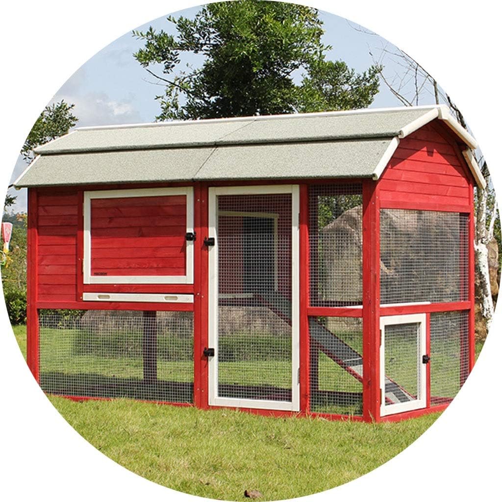 guinea pig run the range