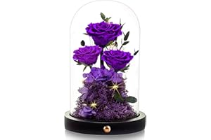 Agrul Christmas Flowers Roses Gifts for Mom,Forever Real Preserved Roses in Glass Dome,Christmas Anniversary Thanksgiving Gifts for Wife Girlfriend Women Best Friend Grandma/Purple Rose