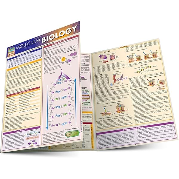 Biology 2: a QuickStudy Laminated Reference Guide (Quick Study
