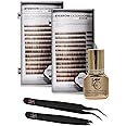 Eyebrow Extension Premium Kit with 2 Tray of Mink Eyebrows in Brown, Comes on Mixed Length Trays 5-8 mm Mix, Eyebrow Premium Glue Clear & Dual Pack (Straight & Curved Tip) Extension Tweezers