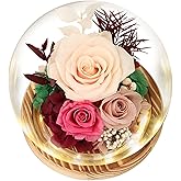 Regalo Flor Preserved Roses & Fresh Flowers Bouquet – Gift for Women, Roses That Last Forever, Flowers for Delivery Prime, Champagne Roses – Birthday, Mother’s Day & Christmas