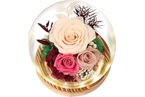 REGALO FLOR Preserved Flowers Roses Gifts for Women Mom, Fresh Flowers Forever Roses with Long-Lasting, Forever Flowers Flower Bouquets with LED Lights, Birthday Gift, Mothers Day, Christmas