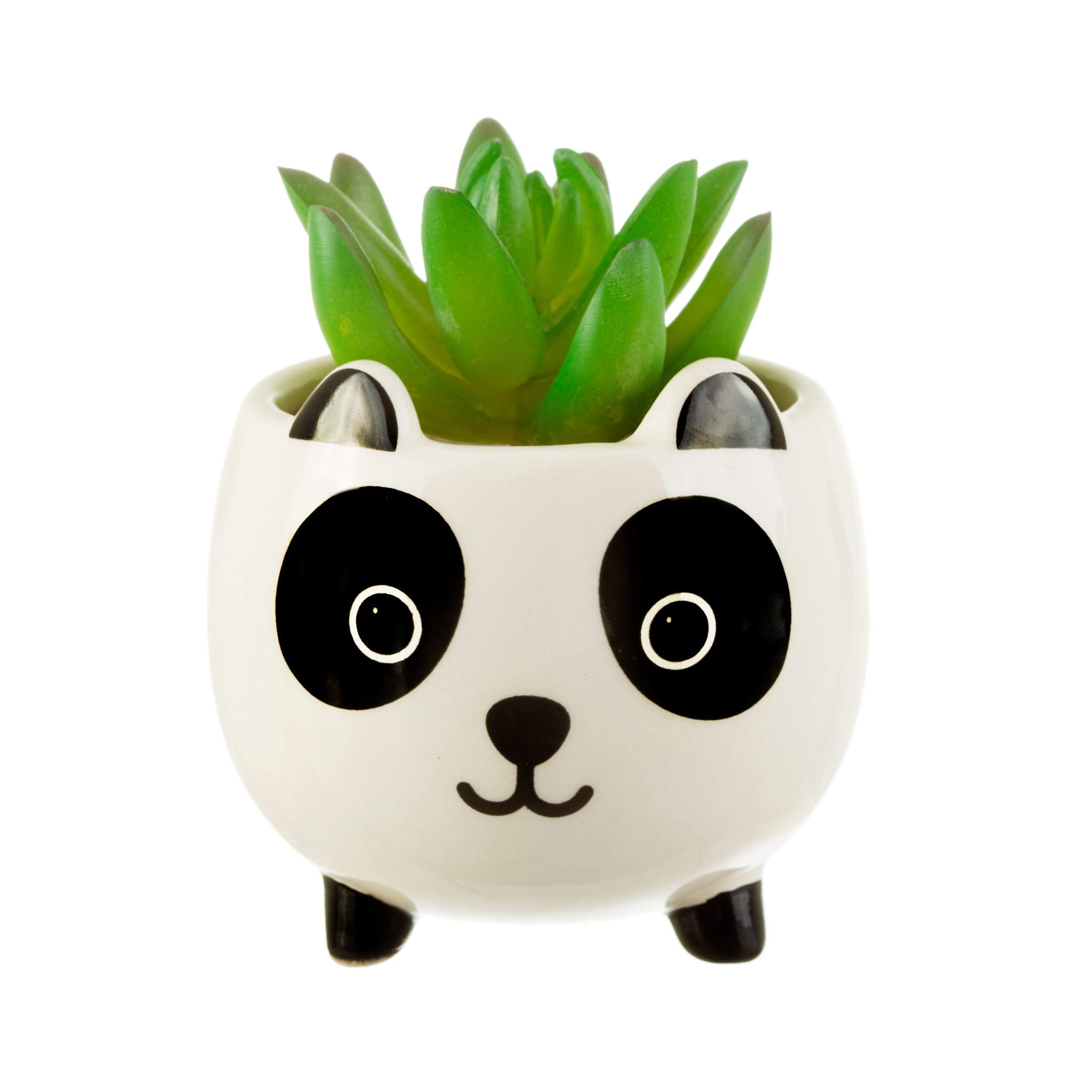 Sass & Belle Mini Panda Planter