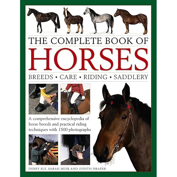 The Complete Horse Care Manual: The Essential Practical Guide To