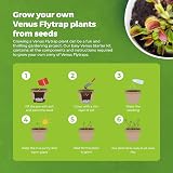 Grow Buddha Grow Your Own Venus Flytrap Kit – Carnivorous Plant Starter view 3