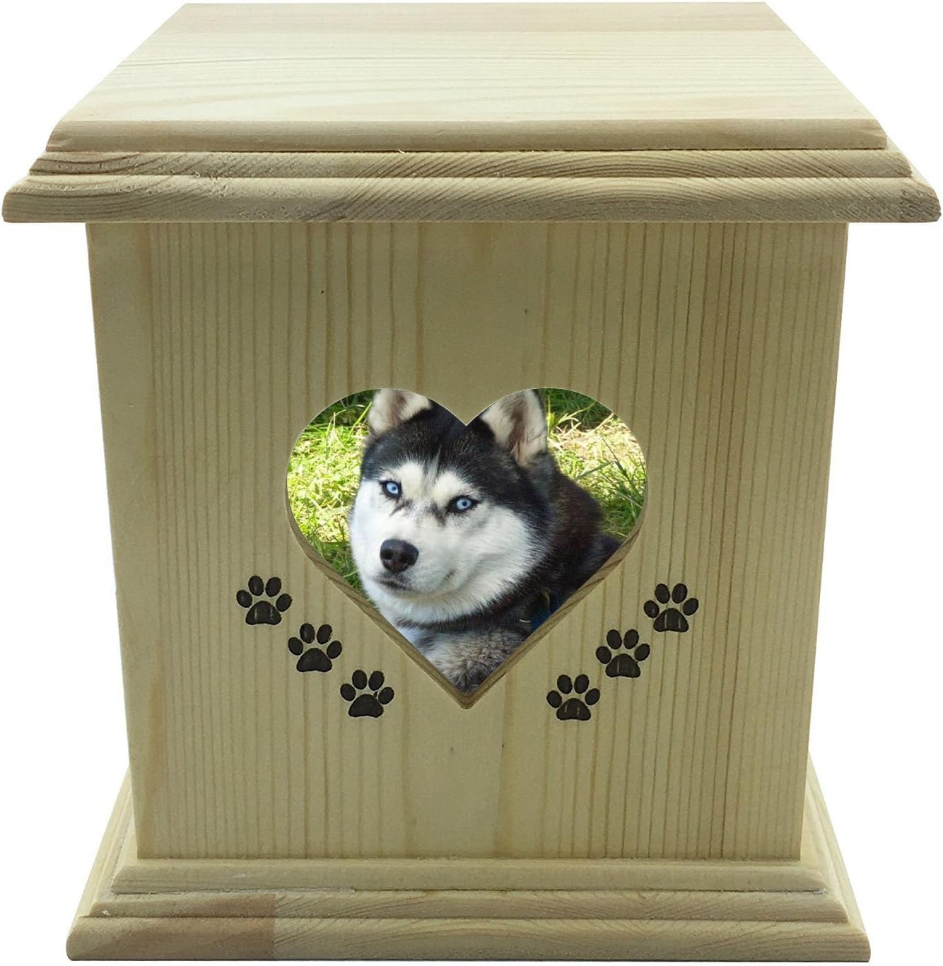 dog caskets for ashes