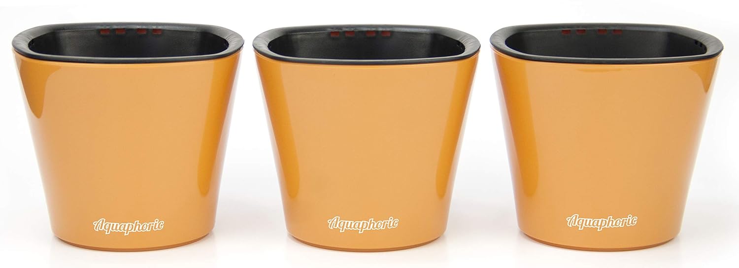 Best Pot Garden Soil