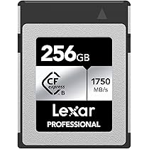 Amazon.com: Lexar 256GB Professional CFexpress Type B Silver