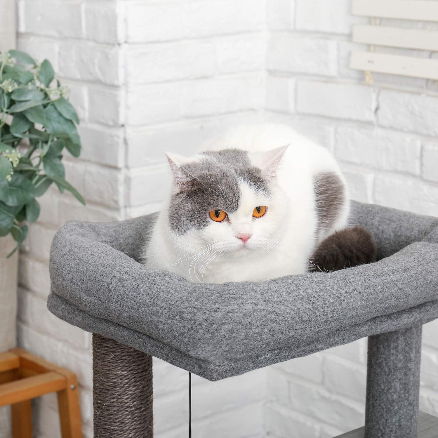 PAWZ Road Cat Tree Luxury Cat Tower with Double Condos, Spacious Perch, Fully Wrapped Scratching Sisal Posts and Replaceable Dangling Balls- Wooden Grey : Pet Supplies