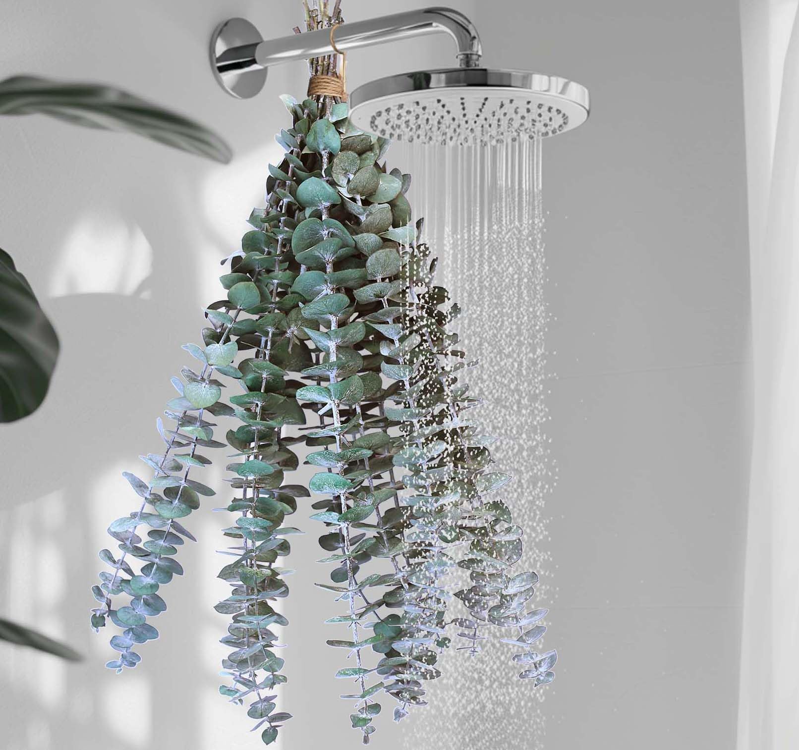 Photo 1 of 10 PCS Dried Eucalyptus Stems for Shower 17" Real Leaves Branches for Vase Filler, Home Bathroom Wedding Arrangement Decor, 100% Natural Fresh Greenery Hanging Preserved Eucalyptus Plant