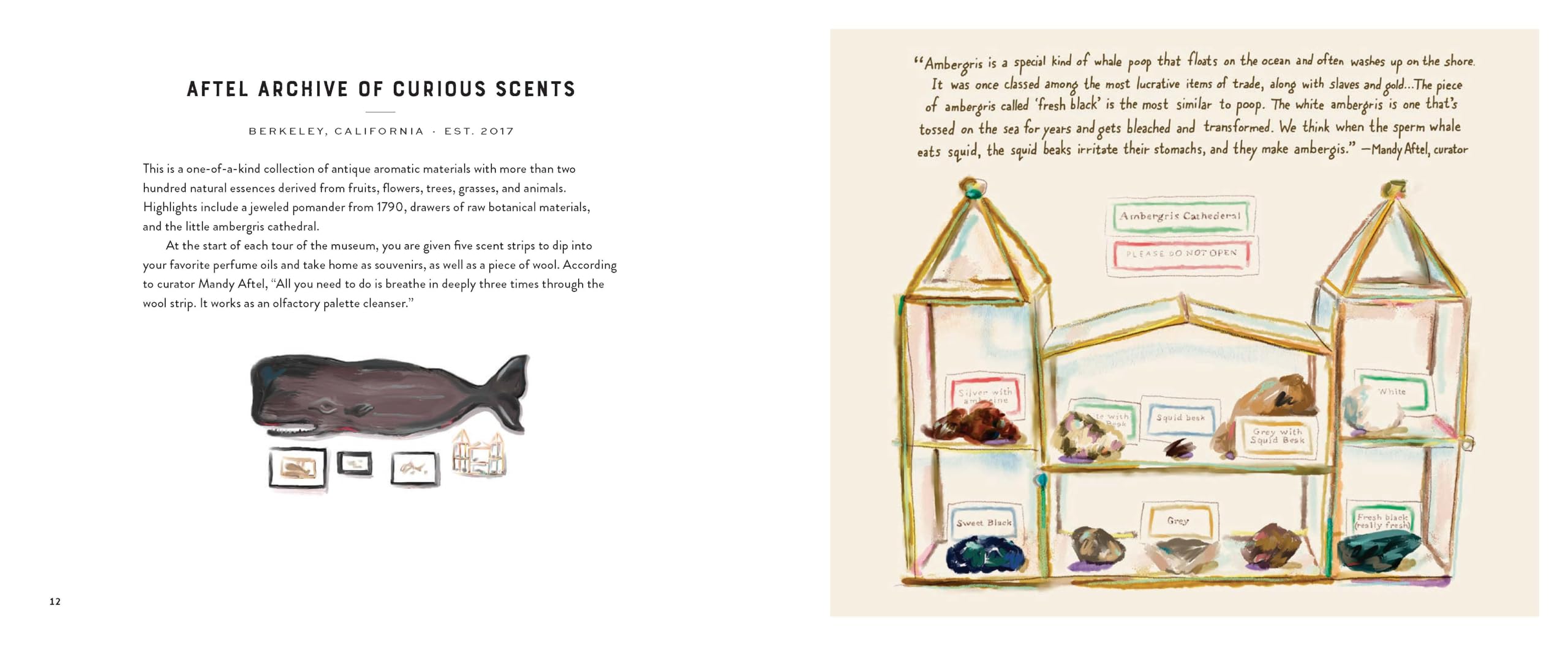 Footnotes from the Most Fascinating Museums: Stories and Memorable Moments from People Who Love Museums