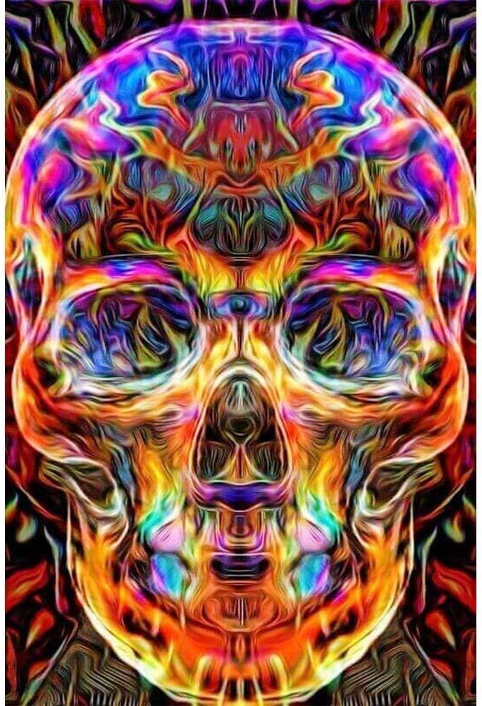 DIY 5D Diamond Painting by Number Kits, Full Drill Crystal Rhinestone Embroidery Pictures Arts Craft for Home Wall Decor Gift (Color Skull Head, 11.8 x 15 Inch)
