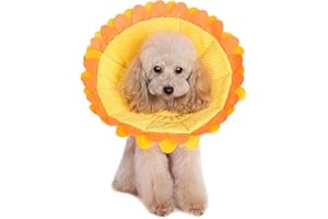 Alfie Pet - Noel Recovery Collar (for Dogs and Cats) - Pattern: Sunflower, Size: XXL