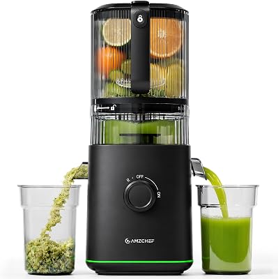 Extracteur de Jus, Fruits Entiers 155mm Large Goulotte, Extraction à Froid Haut Rendement, Facile à Nettoyer, 2,5L Séparateur, Jus du Matin, Petit Déjeuner Sain