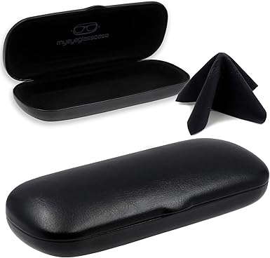 clip on sunglasses case