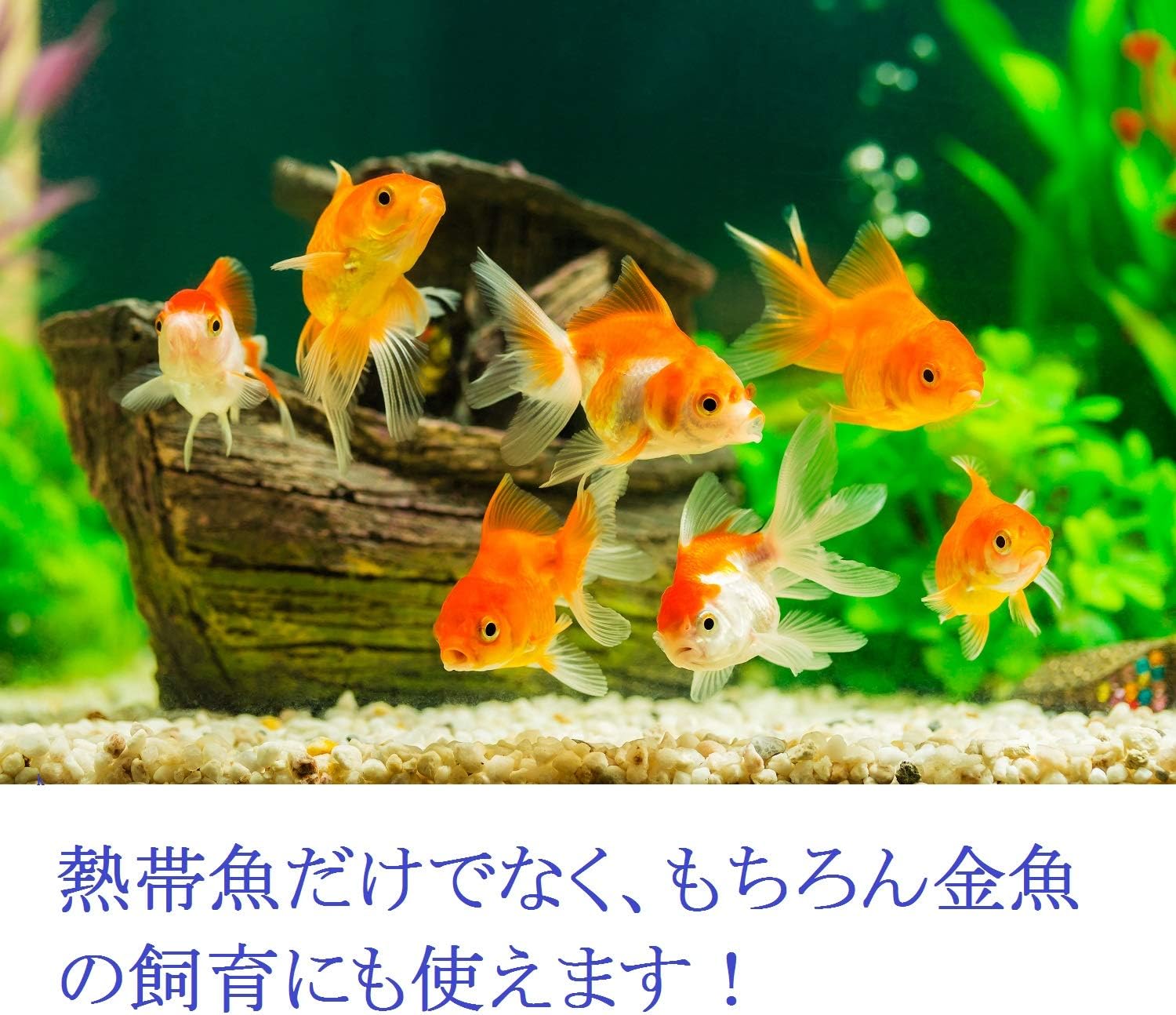 Amazon エム プロ M Pro スポンジ フィルター 大 サイズ 4個 Xy 380 水槽 アクアリウム 水質 改善 投げ込み 型 熱帯魚 淡水魚 金魚 メダカ ４個セット M Pro フィルター 通販