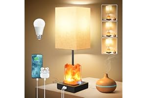 Dott Arts Touch Table Lamps with USB Ports, 3-Way Dimmable Bedside Nightstand Lamp with Salt Lamp,Table Lamps for Living Room Bedrooms Reading Room,Bulbs Included