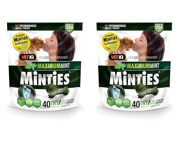 MINTIES DOG DENTAL BONE TREATS, MINT, TINY/SMALL, 16 OZ (PACK OF 2)