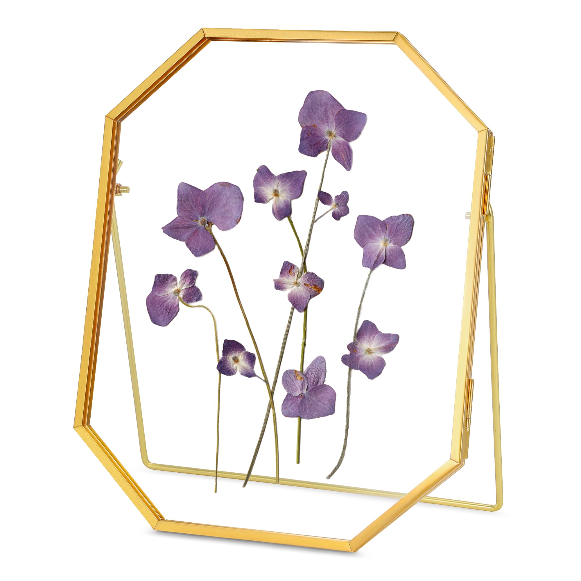 Photo 1 of REDHUGO Glass Pressed Flower Frame Handmade, Metal Floating Picture Frame, Double Glass Frame for Pressed Flowers Tabletop Display Unique Brass Frame, Octagon, Gold, 6x8 inches (FRAME ONLY)