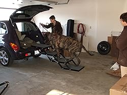 Pet Loader® XL 18" Platform, 4 Step. Folding USA