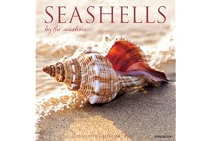 Seashells 2025 12" x 12" Wall Calendar