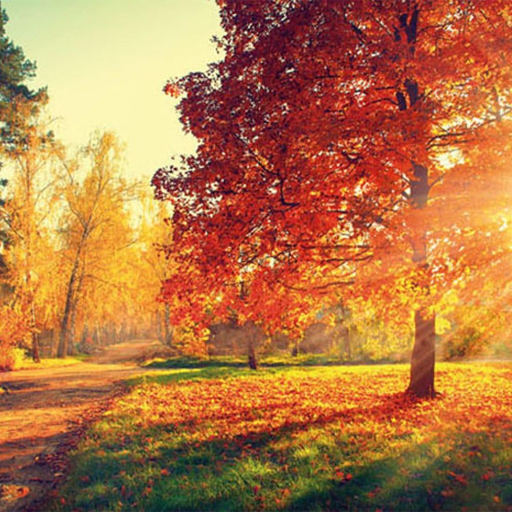 puzzles amazon niños