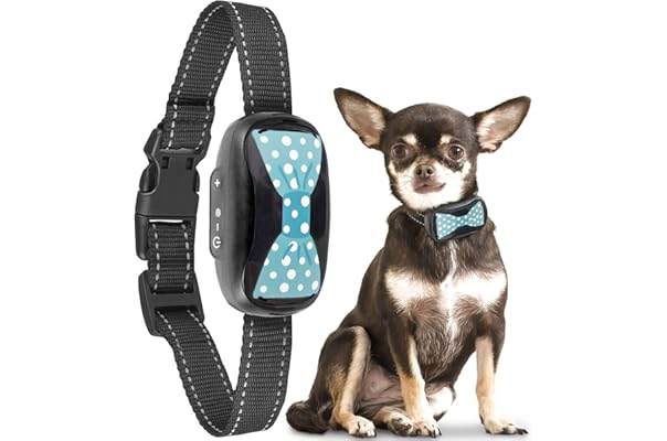 best bark collar canada