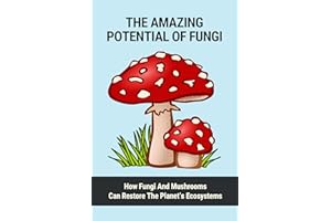 The Amazing Potential Of Fungi: How Fungi And Mushrooms Can Restore The Planet’s Ecosystems: Medicinal Plants