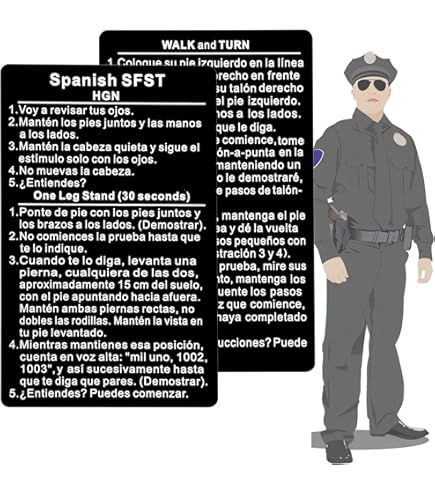 Know Your Legal Rights During Police Stops In MA - Wayside Youth
