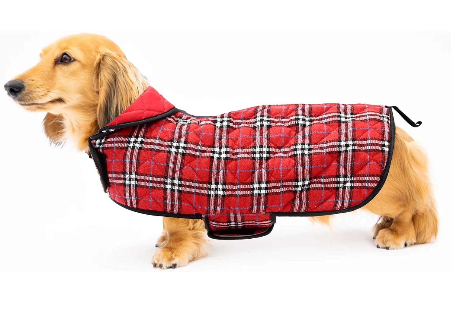 Navy Geyecete Reversible Outdoor Sport Dog Jacket Winter Warm Large Dog Coat with Harness Hole