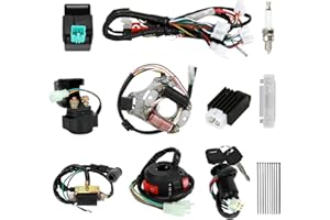 EOPOAYI Complete Wiring Harness Kit Compatible with Tao tao Coolster 110cc 125cc Chinese ATV 4 Stroke Quad 4 Wheeler Parts with Starter Solenoid Relay Ignition Coil CDI Box Stator Voltage Regulator