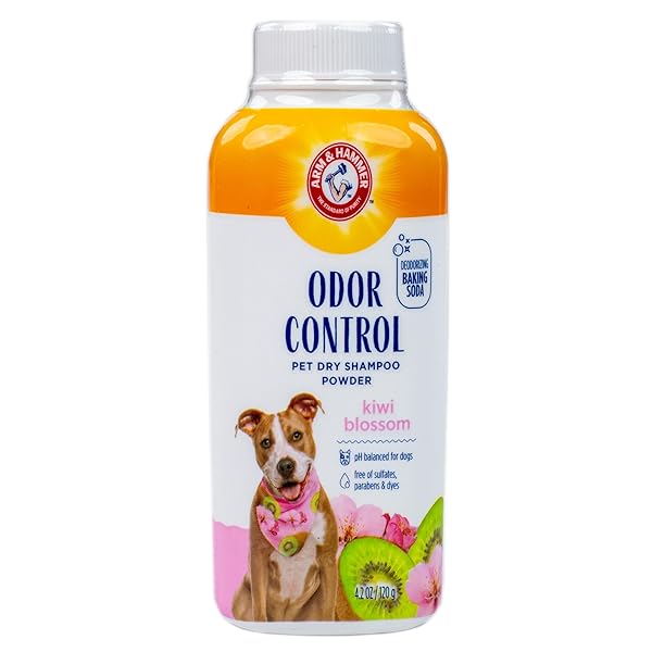 ARM & HAMMER FOR PETS ODOR CONTROL DRY SHAMPOO POWDER FOR DOGS, BEST ODOR ELIMINATING WATERLESS SHAMPOO FOR DOGS & PUPPIES, KIWI BLOSSOM SCENT, 4.2 OUNCES