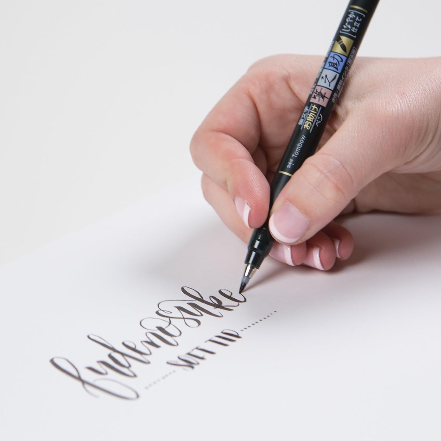 Tombow Fudenosuke Brush Pens (2-Pack) : Office Products