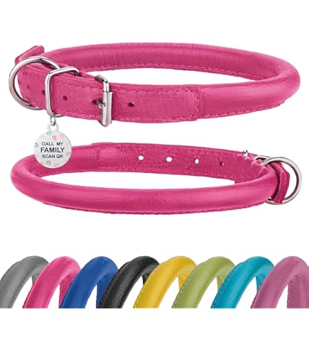 Terrain D.O.G. Brahma Webb Hundehalsband – Wasserdicht, Robust, Mit Aluminium-Schnalle