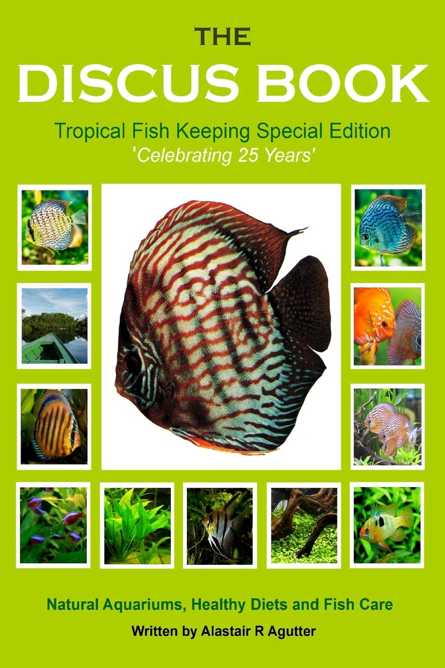 tropical fish keeping