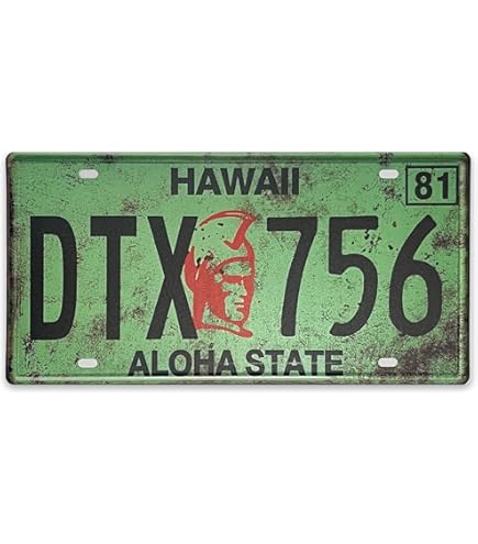 ワイキキ Aloha State プレート ワイキキ Aloha State プレート