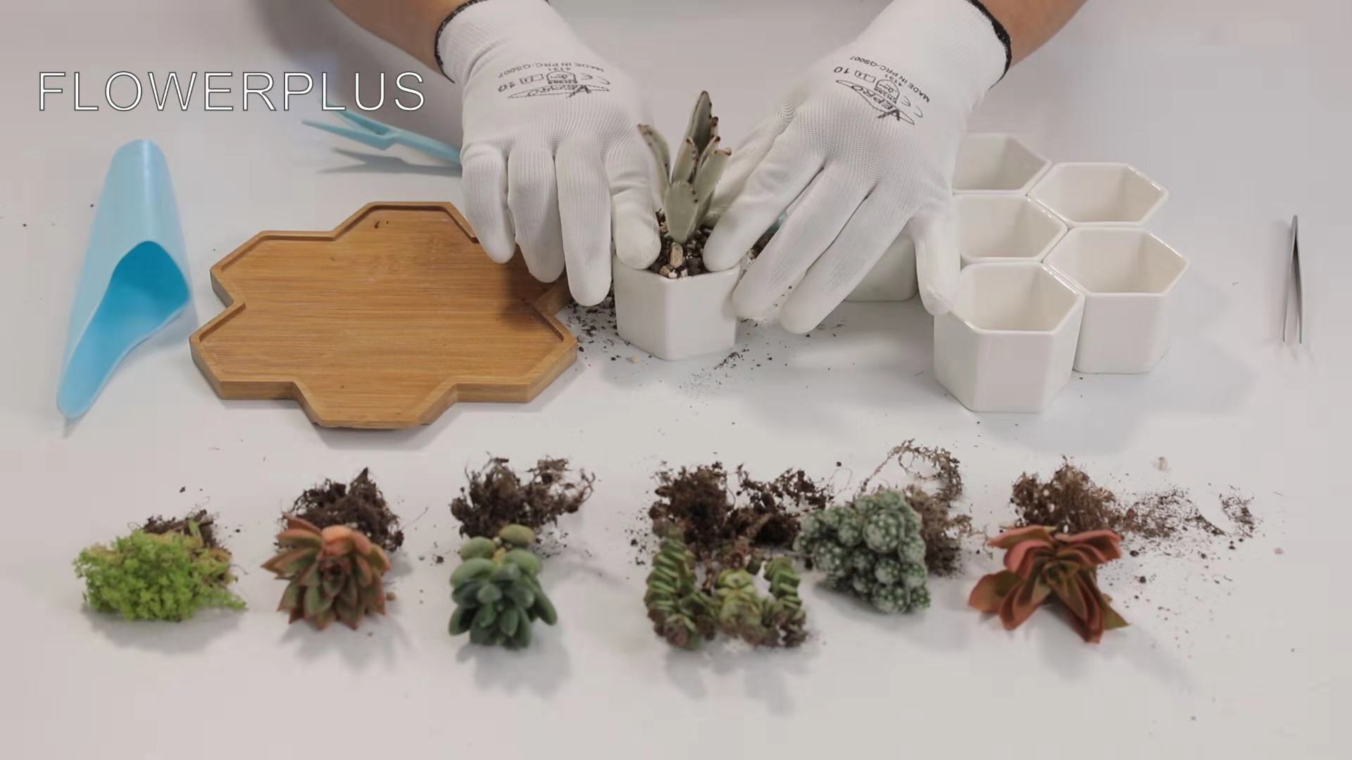 Amazon.com: FLOWERPLUS Planter Pots Indoor, 7 Pack 2.75 Inch
