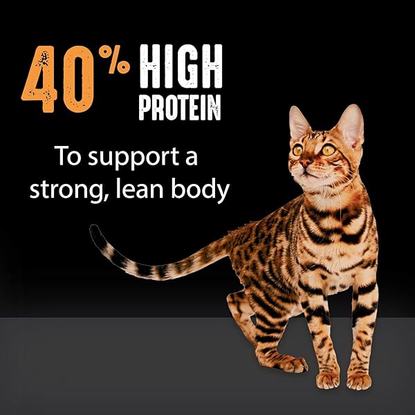 CRAVE GRAIN FREE ADULT HIGH PROTEIN NATURAL DRY CAT FOOD WITH PROTEIN FROM CHICKEN, 10 LB. BAG