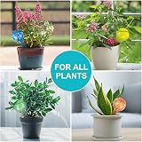 AMFUN 6 Pcs Glass Plant Watering Globes Self Watering System Colorful Hand-Blown view 7