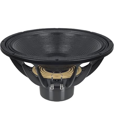 Amazon.com: RCF L18P300 18-inch Woofer Low Power Compression 4