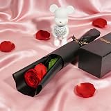 Yamonic Preserved Real Red Rose Gift for Women, Eternal Flower view 3