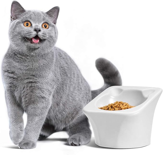 ComSaf Ceramic Raised Cat Food Bowl, Elevated Tilted Pet Feeding Bowl