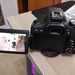 Canon EOS 750D Body - Cámara réflex digital de 24.2 Mp (pantalla 3 ...
