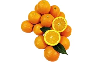 CAPITAL CITY FRUIT 1949 Capital City Fruit Gourmet Fresh Fruit Gift Box | Gift for Holiday, Thank You, Get Well | Sympathy Gift Box | Sweet Fruits | Healthy Snack | 18 Piece Fresh Oranges